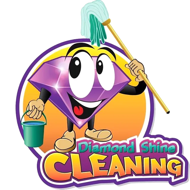 Diamond Shine Cleaning Enterprises LLC Logo