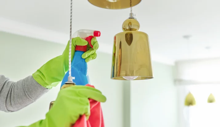 Why Professional Cleaning Services Are Essential for Naples, Florida Homeowners Diamond Shine Cleaning Enterprises LLC